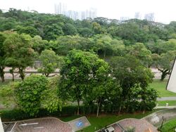 Cavendish Park (D21), Condominium #553799061